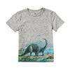 Kids Grey Shirt 3890