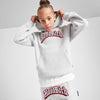 Hood Rich Embroided grey Tracksuit 13715