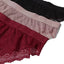 Mix Style Pack of 5 Assorted Women Panties