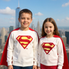 Superman Embroided Sweatshirt 13424